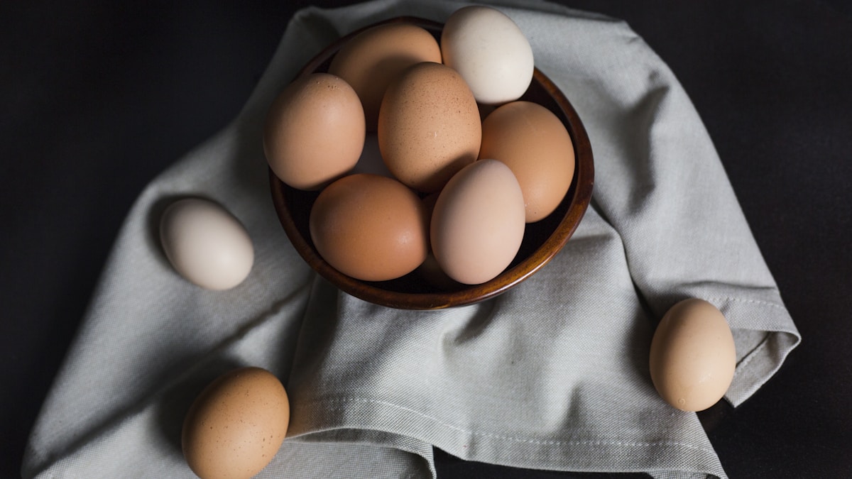High Protein Foods: The Full List and How Much to Eat