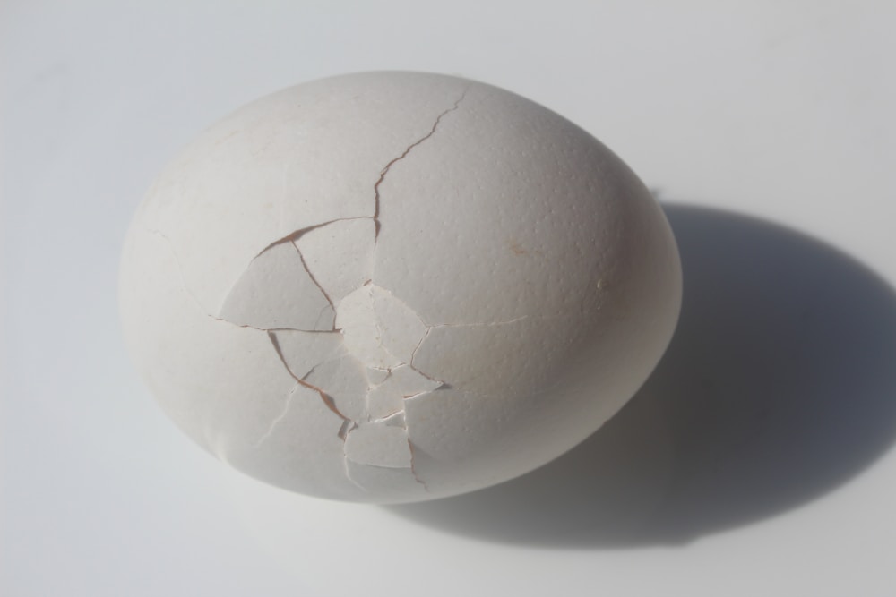Cracked egg showing the white and the yolk